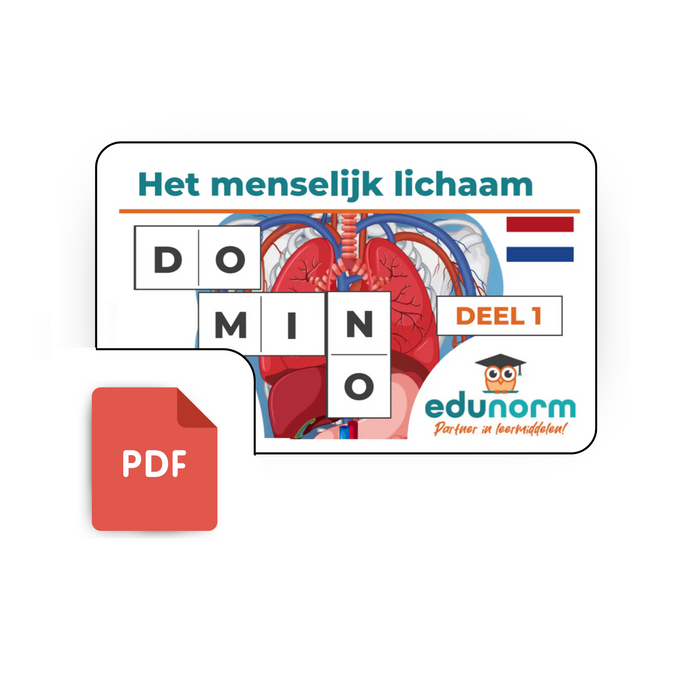 Digitale Dominospel Het Menselijk Lichaam Deel 1