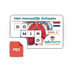 Digitale Dominospel Het Menselijk Lichaam Deel 2